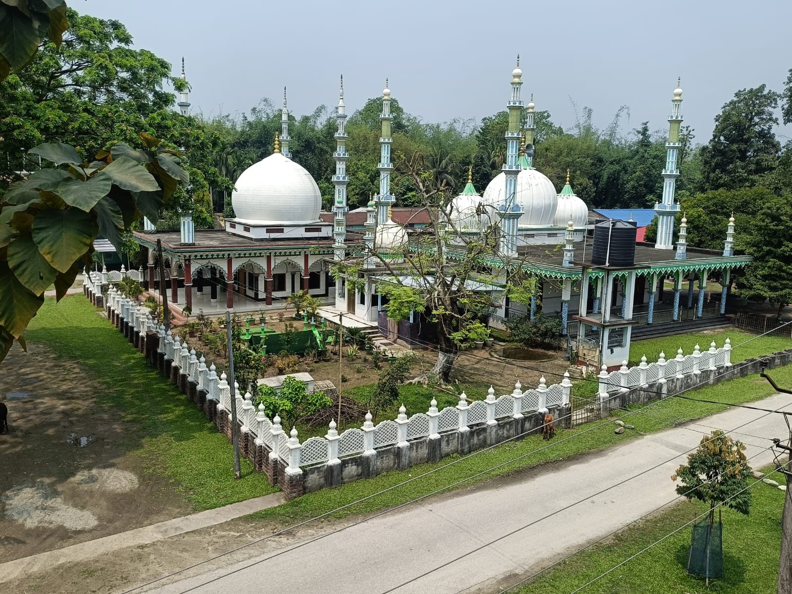 Image 1